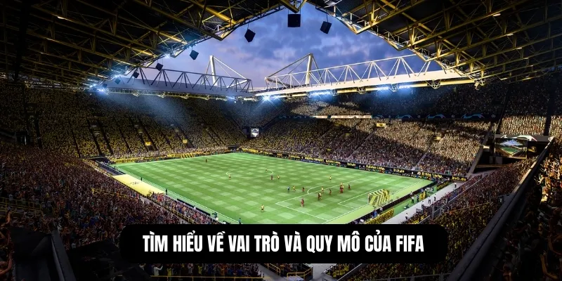 Tìm hiểu về vai trò và quy mô của FIFA