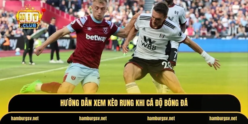 Hướng dẫn xem kèo rung khi cá độ bóng đá