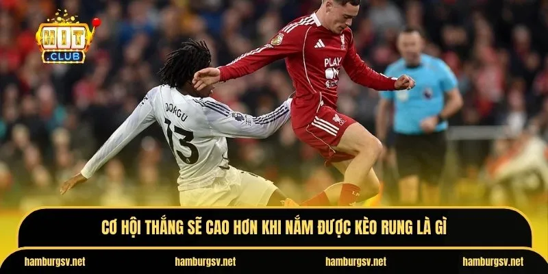 Cơ hội thắng sẽ cao hơn khi nắm được kèo rung là gì